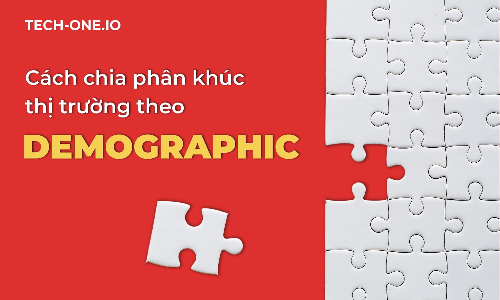 Cách chia phân khúc thị trường theo demographic