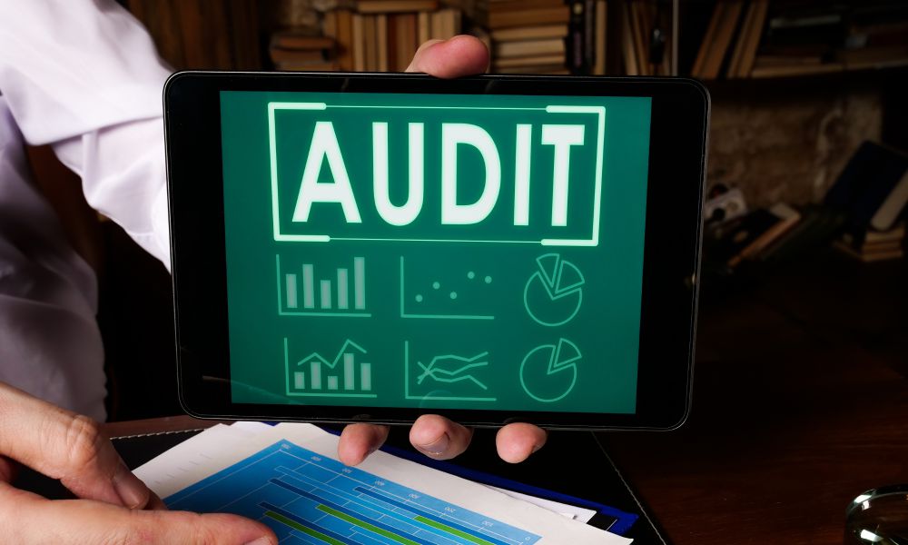 Analyzing the Audit Result