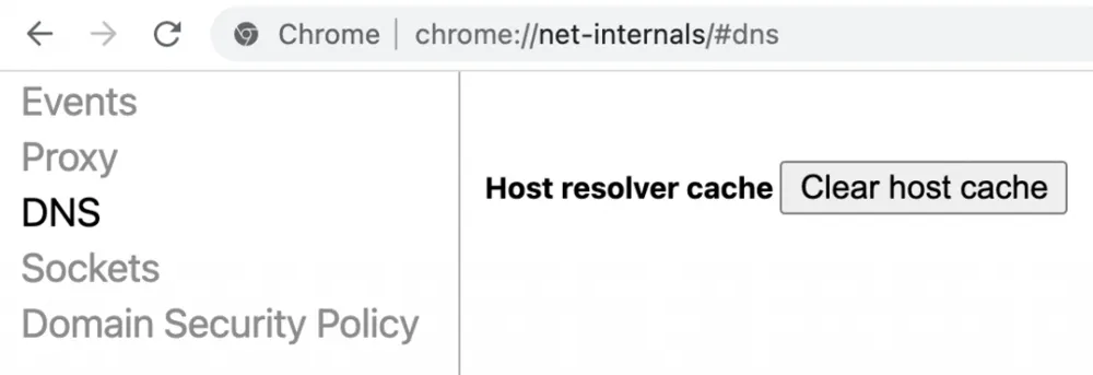Clear the DNS